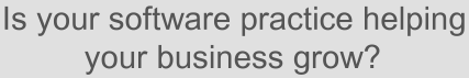 Redapsys Consulting - Is your Software Practice helping your business grow?