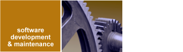 Redapsys can build software products that are tailored to exact requirements of clients